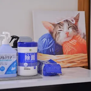 別荘 House 101, 東京都